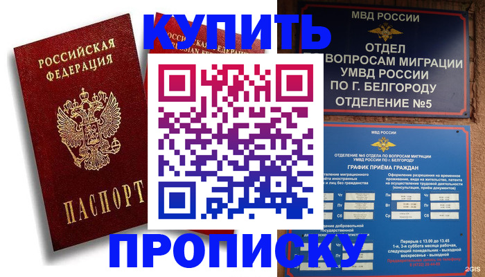 прописка иностранных граждан в Балтийске
